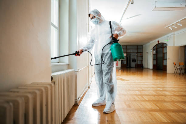 Wasp Removal Services in Powdersville, SC
